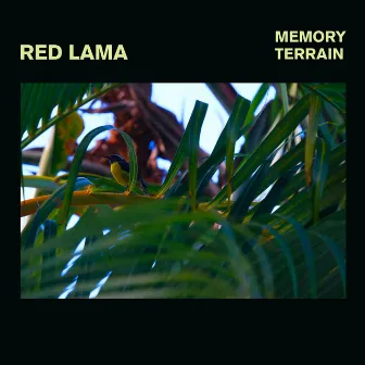 Memory Terrain by Red Lama