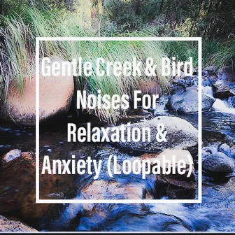 Gentle Creek & Bird Noises For Relaxation & Anxiety (Loopable) by The Deepest Sleeper