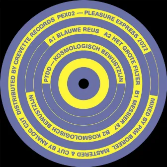 Kosmologisch Bewustzijn by PTDD