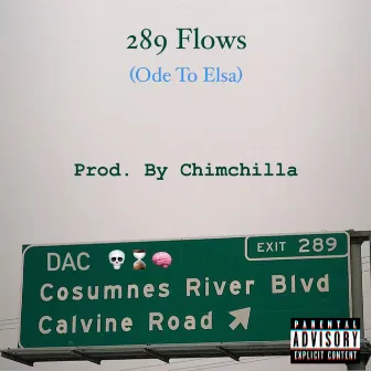 289 Flows (Ode to Elsa) by D.A.C.