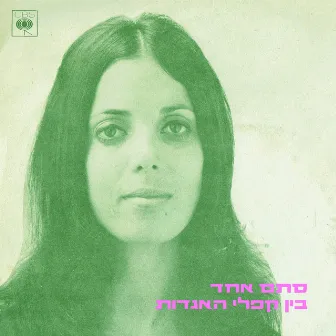 סתם אחד/בין קפלי האגדות by Shula Chen