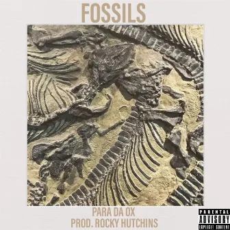 Fossils by Para Da Ox