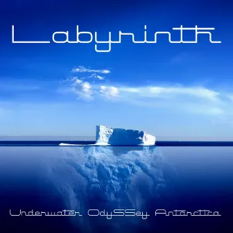 Underwater Odyssey Antarctica by Labyrinth