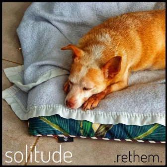 Solitude by Rethem