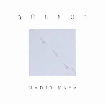 Bülbül by Nadir Kaya