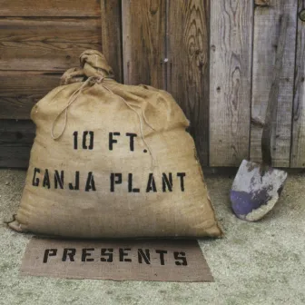 Presents by 10 Ft. Ganja Plant