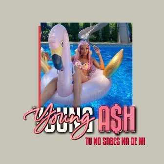 Tu No Sabes Na De Mi by Young Ash