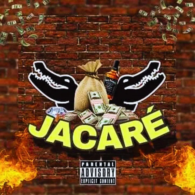 Jacaré