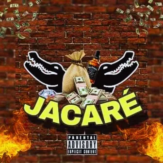 Jacaré by 