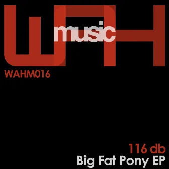 Big Fat Pony EP by 116 db