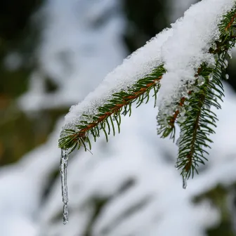 Winter Piano by Michael Winworth