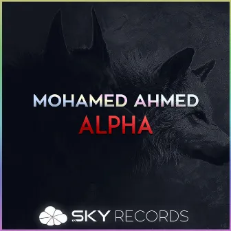 Alpha by Mohamed Ahmed