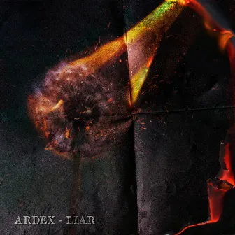 Liar by Ardex