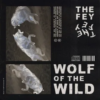 Wolf of the Wild by The Fey