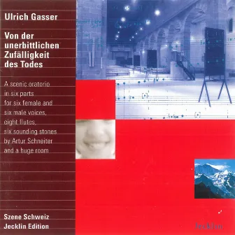 Ulrich Gasser: Von der unerbittlichen Zufälligkeit des Todes by Ulrich Gasser