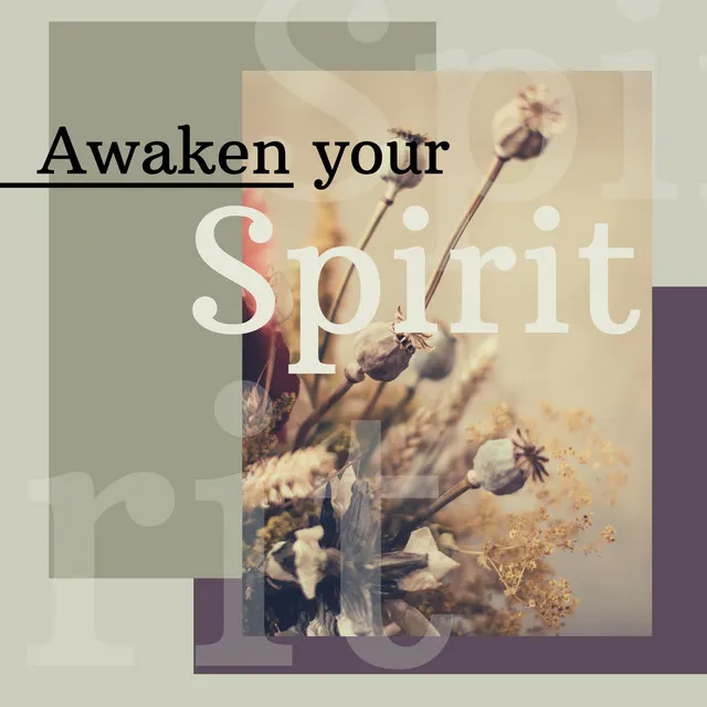 Awaken your Spirit: Relaxing Meditation Music for a Powerful Complete Chakra Activation