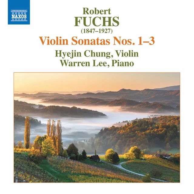 Violin Sonata No. 3 in D Minor, Op. 68: III. Finale. Allegro con fuoco, ma non troppo