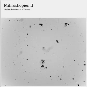 Mikroskopien II by Norbert Pfammatter