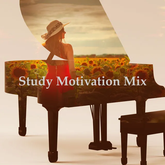 Study Motivation Mix