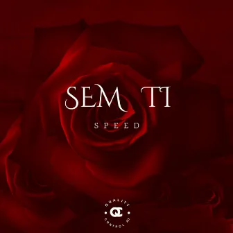 Sem Ti (Speed) by Carlos Varela