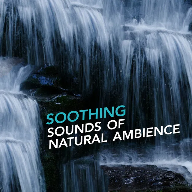 Soothing Sounds of Natural Ambience