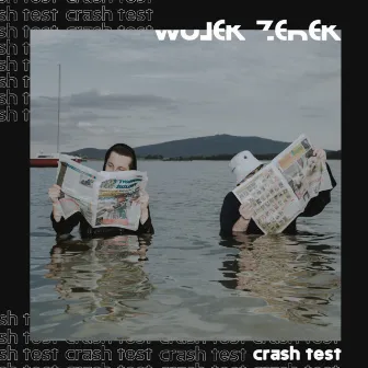 Crash Test by Zen Janicki