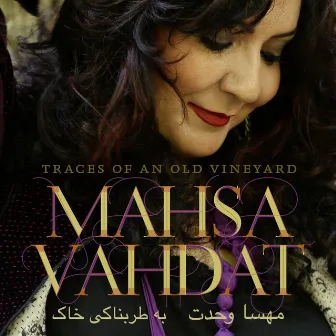 Traces of an Old Vineyard by Mahsa Vahdat