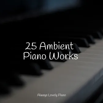 25 Ambient Piano Works by Concentrate with Classical Piano