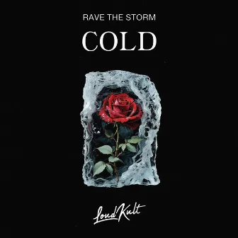 Cold by Brave The Storm