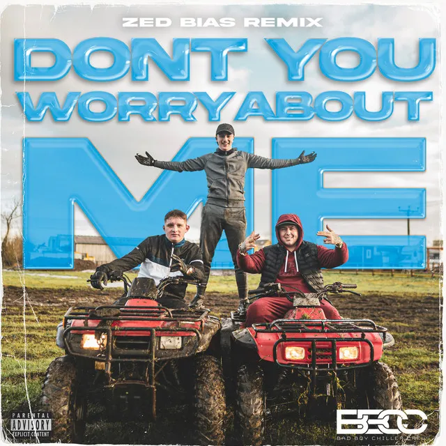 Don't You Worry About Me - Zed Bias Remix