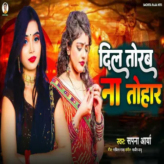 Dil Torab Na Tohar by Sapna Aarya