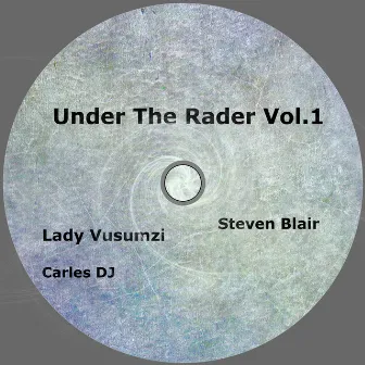 Under the Rader, Vol. 1 by Lady Vusumzi