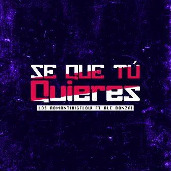 Se Que Tú Quieres by Los Romantibigflow