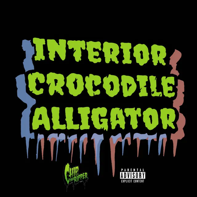 Interior Crocodile Alligator