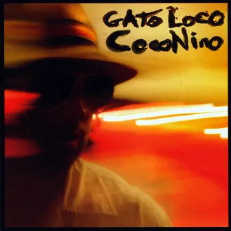 Coconino by Gato Loco