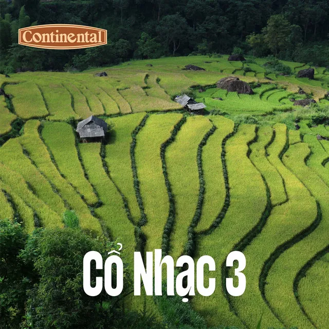 Tiết Giao Đoạt Ngọc