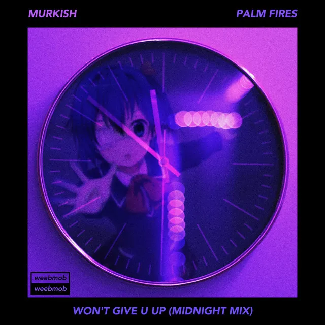 Won't Give U Up - midnight mix