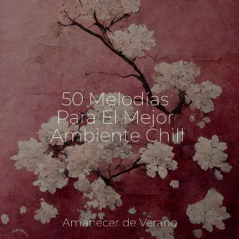 50 Melodías Para El Mejor Ambiente Chill by Unknown Artist