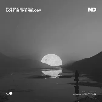 Lost In The Melody by Unknown Artist