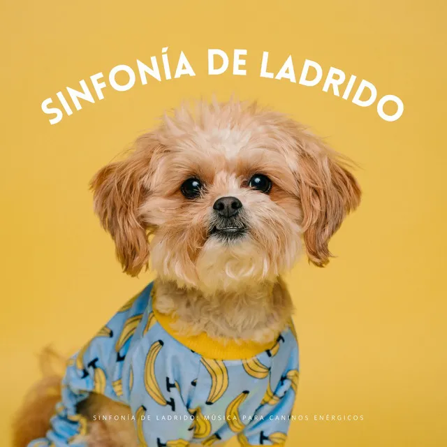 Sinfonía De Ladrido: Música Para Caninos Enérgicos