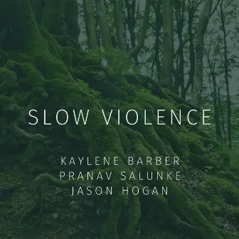 Slow Violence by Pranav Salunke