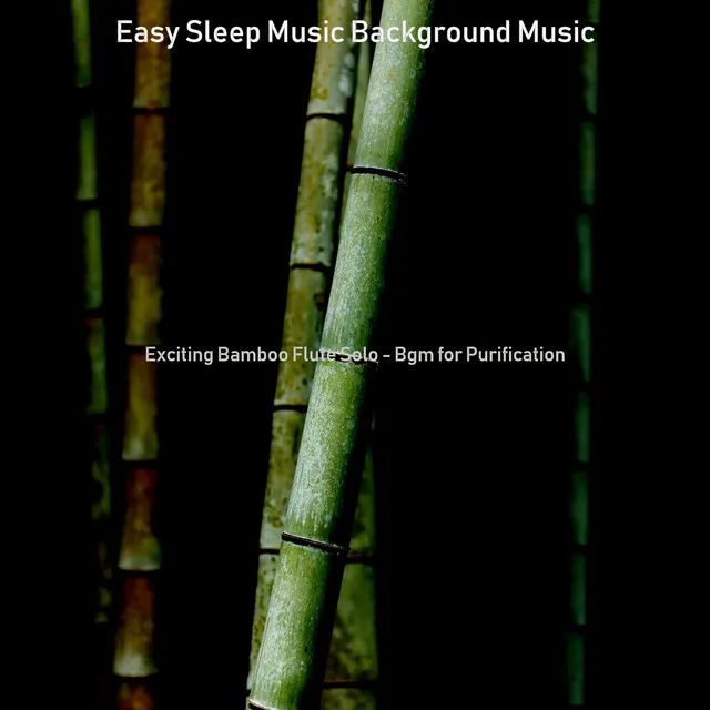 Exciting Bamboo Flute Solo - Bgm for Purification