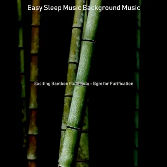 Exciting Bamboo Flute Solo - Bgm for Purification by Unknown Artist