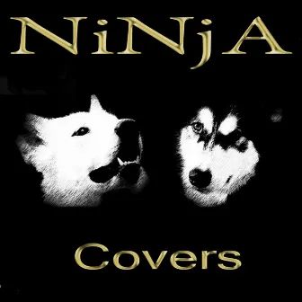 Only Just a Dream - Just The Way You Are... Cover by Ninja