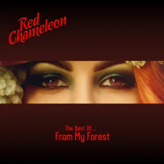 The Best Of… From My Forest by Red Chameleon