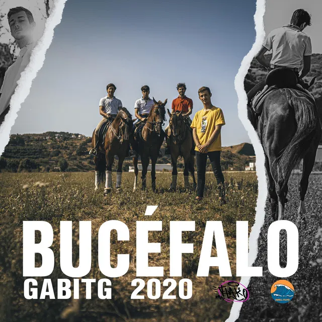 Bucéfalo