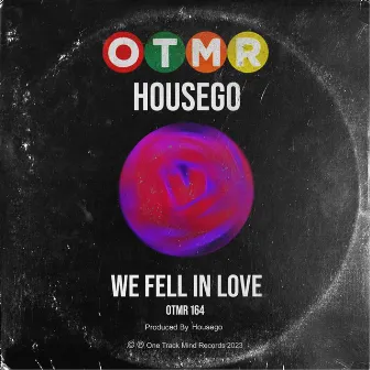 We Fell In Love by Housego