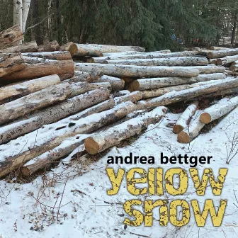 Yellow Snow by Andrea Bettger