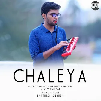 Chaleya (Instrumental) by V R Vignesh