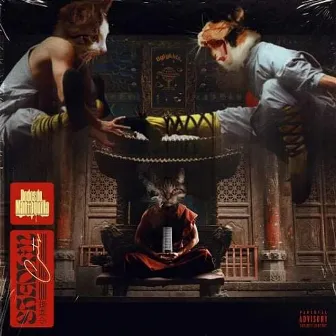 Shaolin Cats (Side A) by Unknown Artist